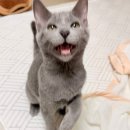 백년대로 307번길 이미지