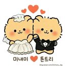 [부산 촬영드레스] 5편: 포마이시스 재방문 피팅 후기! (릴리리본/타프리본/세레나그레이스/투러브) 🧡