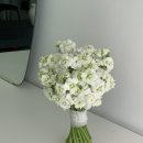 비단향꽃무 | 천안터미널꽃집 해화꽃 추천! 부담 없는 금액대로 준비하는 생화 '스토크 부케' 제작 후기