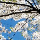 스시보노 - 달서구 계대동문로 12 | 스시보노