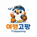 제주도골프 2박3일 골프여행 패키지 (매주 월.화출발) 이미지