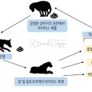 미르 동물병원 이미지