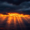 태초에는 이미지