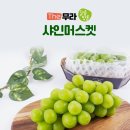 더(the)달콤 이미지
