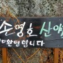 손영호농장 이미지