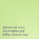 유연바디랩 | 힐링이란 이런 거구나, 약손바디랩에서 보낸 완벽한 구리마사지 타임