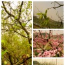 진아농장 이미지