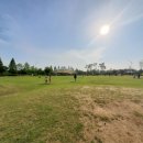 제일어린이공원 놀이터 이미지