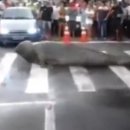 바다랑육지랑 이미지