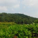 [광주 광산구]광주여대~동자봉(154m)~풍악정~어등산 석봉(338m)~등용정~풍악정~광주여대 다녀오기(2019/8/7/수 오후) 이미지