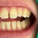 즐거운제주치과의원 이미지