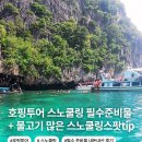 풀라이프투어 | 스노쿨링 호핑투어 꼭 챙겨야 할 필수 준비물 내돈내산 사용 후기 물고기 많은 스노클링 바다 찾기 꿀팁