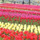 산과들과바람