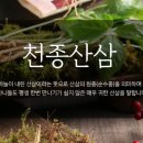 쎌팜(cellfarm)