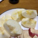 홍익사과동물약국 | 임당 재검 앞둔 임산부의 시련🥲(임당 2차는 통과💕)_코엑스 베이비페어 다녀온 후기🛍️_쑥쑥 커가는 최강이✌🏻