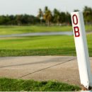 S골프아카데미 이미지