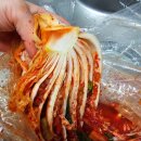 (주)공영홈쇼핑 노동조합 | 도미솔김치 후기 4종 맛평가를해보자 ft.공영홈쇼핑