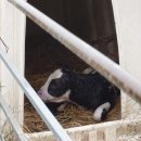 샘들목장 이미지