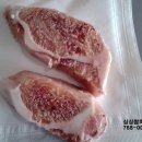 싱싱참치 이미지