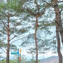 괴산-7 | 괴산여행 산막이옛길 등산 호수뷰 트레킹 후기