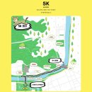 댕댕타임 | 댕댕런 2025 in 대전, 반려견과 10km 마라톤 도전 후기