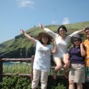 우도기행 이미지