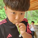 물풀3 이미지
