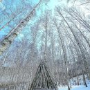 새해 첫 페이지를 장식할 1월 여행지, 강원도 설경 명소 6 :: 속초 설악산국립공원, 인제 원대리 자작나무 숲, 평창 대관령양떼목장, 이미지