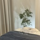 온아에스테틱 - 달성군 테크노중앙대로 254 | 온아에스테틱