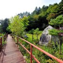 효석문학100리길 제5-1구간 이미지