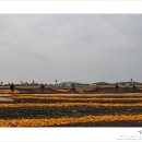 신천목장 이미지