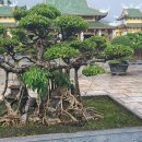 다온여행사 이미지