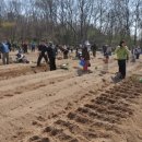 친환경나눔텃밭 이미지