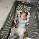 물향기마트 네이버블로그