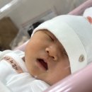 음성군 건강증진센터 | 송파산모건강증진센터 산후조리원 둘째랑 또 다녀온 후기