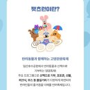 펫츠런 이미지