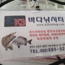 k3바다낚시터 | 대부도 K3바다낚시터 폭염 속밤낚시 조황