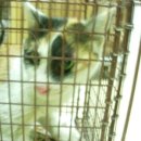 이상윤동물병원 이미지