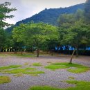 무릉도원면-23 이미지