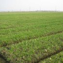 하늘언덕 이미지