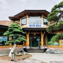 BLUE HILL(블루힐)