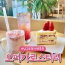 남구로과일 | 남구로역 구디 카페 추천 오피카 로스터리, 공부하기 좋은 분위기