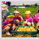 만석군농장 이미지