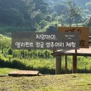 엘리펀트샤워 | 치앙마이 엘리펀트 정글 생추어리 체험 후기, 이용방법