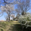 백구소공원 이미지