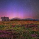 마메모메한의원 이미지