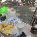 사지목나무그늘 이미지