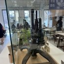 강원도막국수 | 기장 정관 메밀상회(강원도막국수)_내돈내산 솔직후기