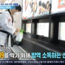 고일태권도 이미지