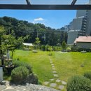 초록애견샵 이미지